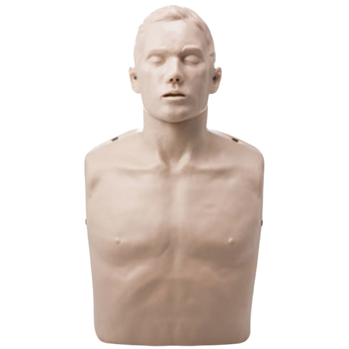 Brayden CPR Manikin - Basic Model - Single