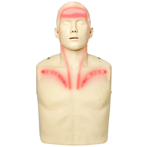 Brayden Adult CPR Manikin with Red Illumination Lights