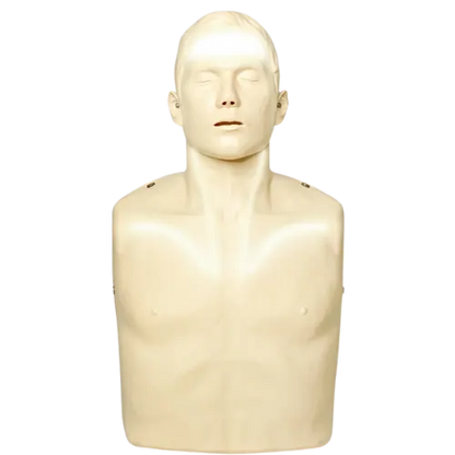 Beige mannequin torso with head on a white background