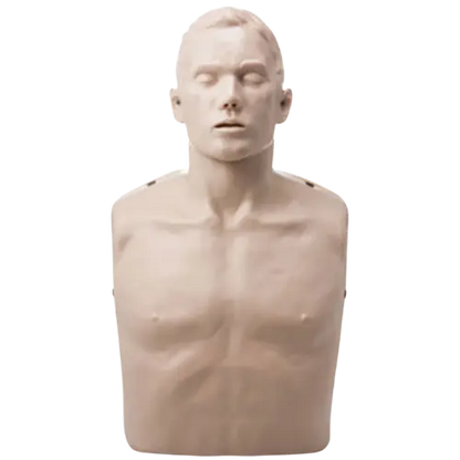 Mannequin torso with head on a white background